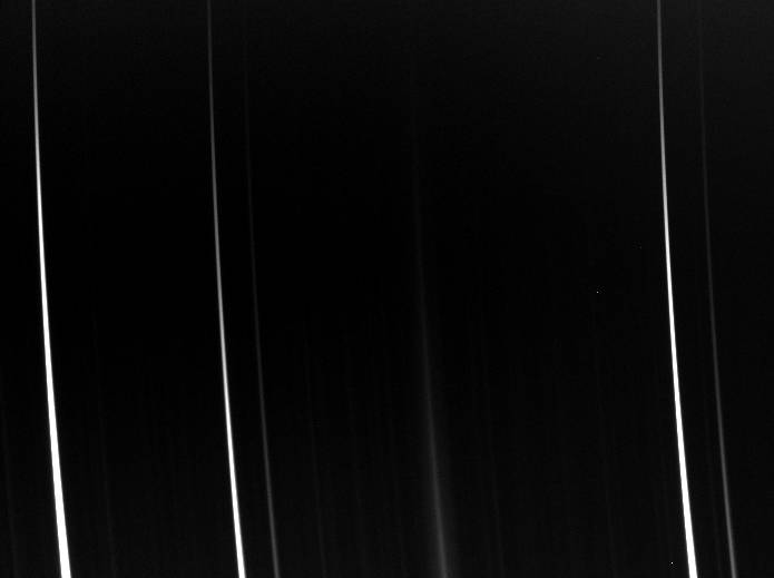 neonHD54879-1.jpg