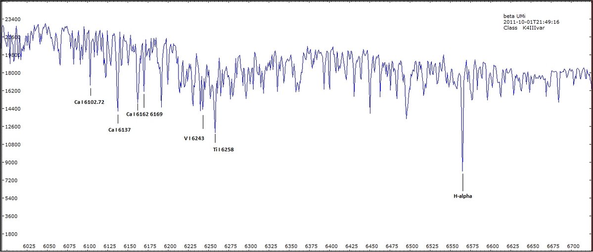 beta UMi profile  - It is very similar to the K5III star at pag. 62 of Richard Walker Atlas