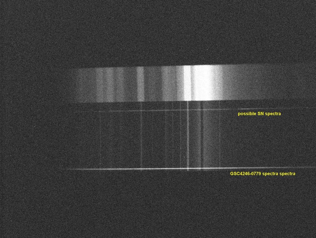 And finaly a raw image of the spectra. Not sure I can get some thing from it as sinal is very low above a strong light polution.