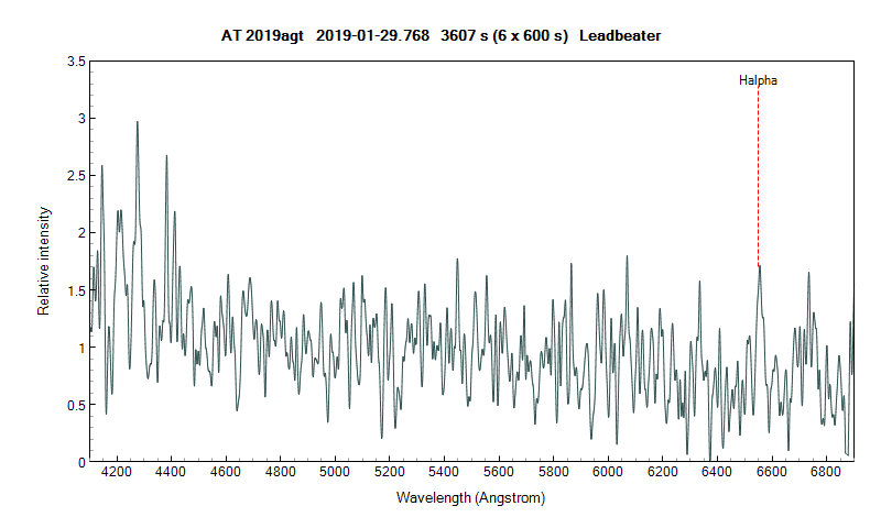 at2019agt_20190129_768_Leadbeater.png