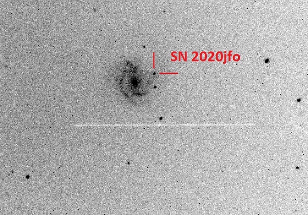 SN 2020jfo