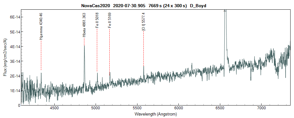 novacas2020_20200730_905_D_Boyd_2.png