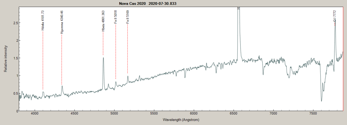 plot_novacas2020_20200730_833.png