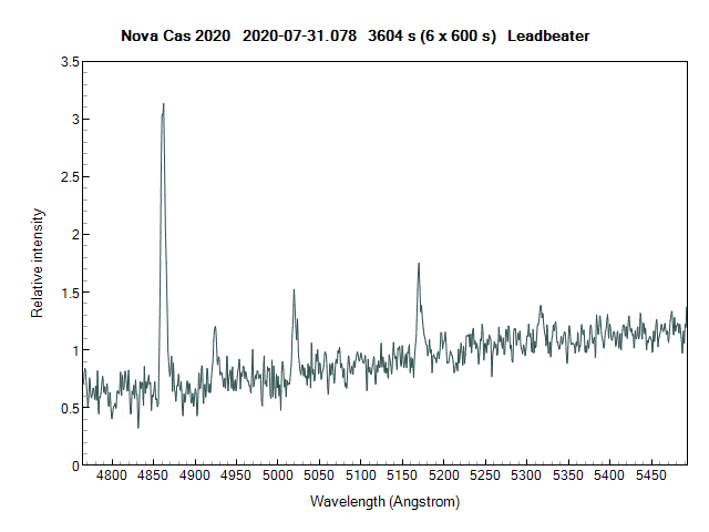 novacas2020_20200731_078_Leadbeater.png