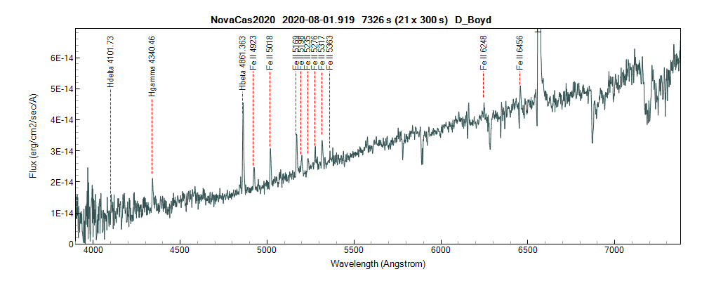 novacas2020_20200801_919_D_Boyd.png