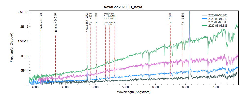 novacas2020_20200806_886_D_Boyd.png