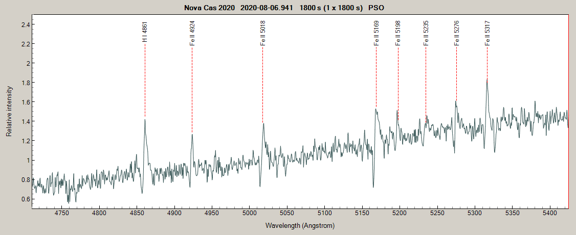 novacas2020_20200806_941.png