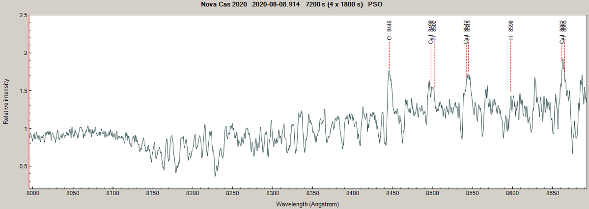 novacas2020_20200808_914.png