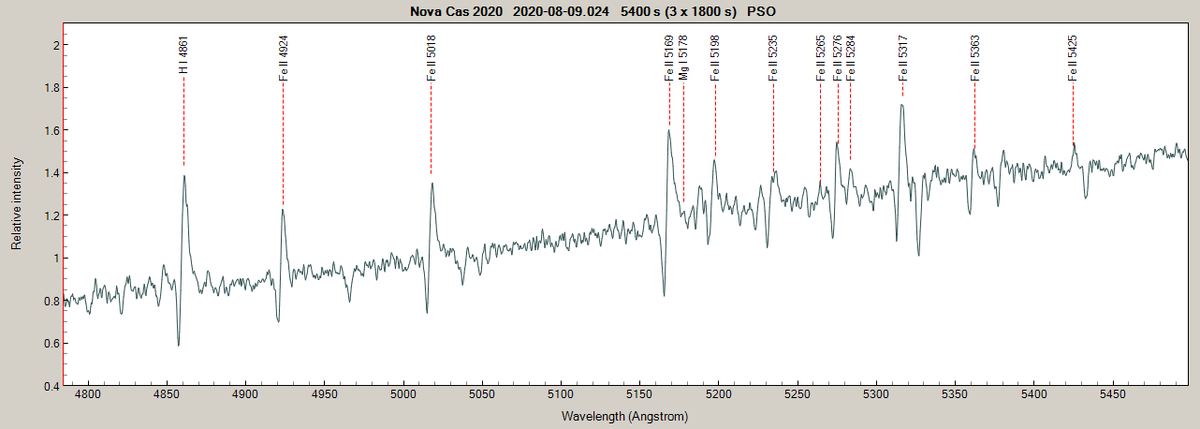 novacas2020_20200809_024.png