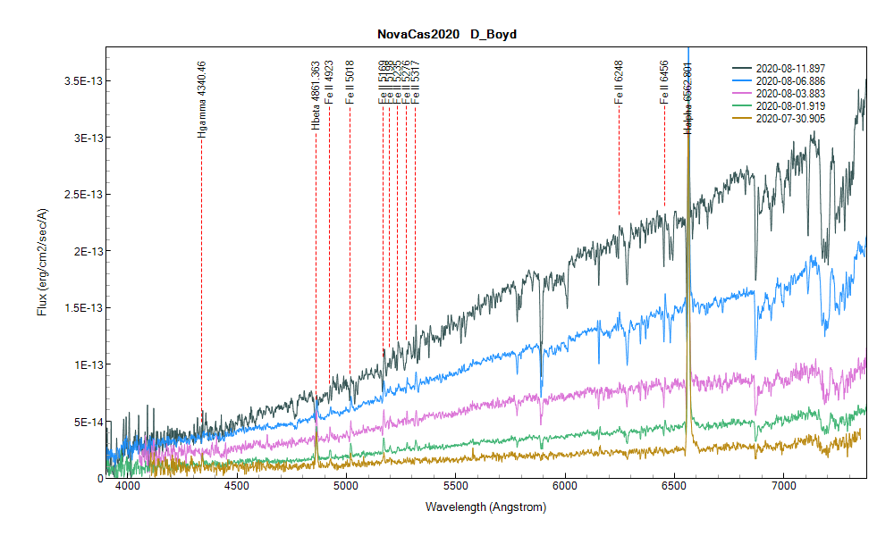 novacas2020_20200811_897_D_Boyd.png