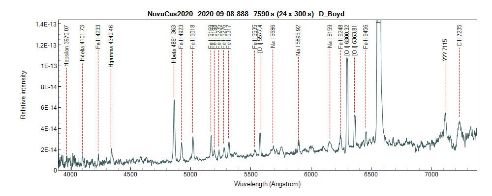 novacas2020_20200908_888_D_Boyd.png