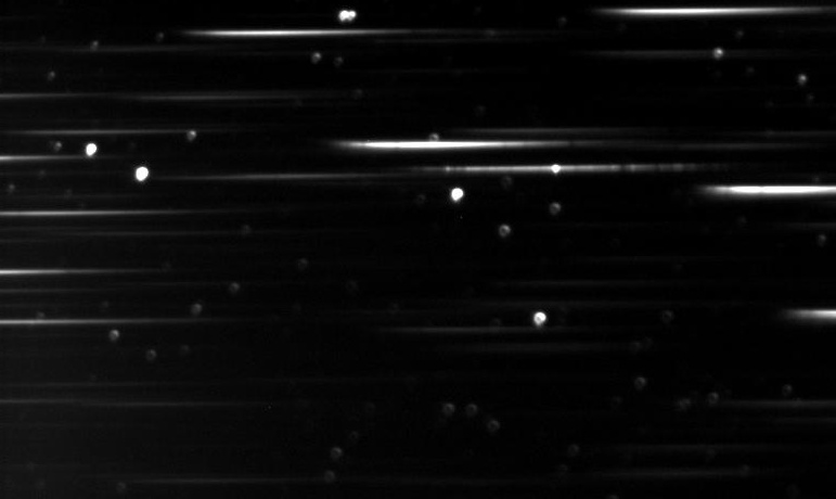 Nova_Cephei_2013_20130206.jpg