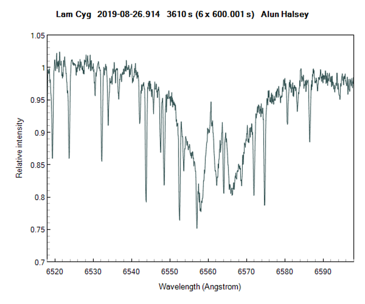 lamcyg_20190826_914_Alun Halsey.png