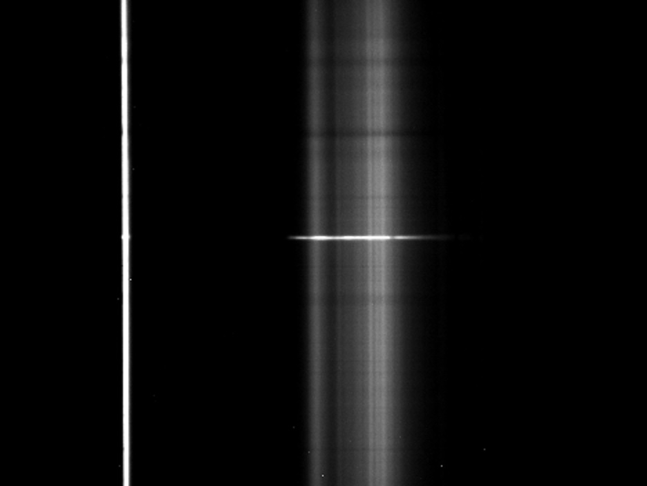 SN2021_spectrum.jpg