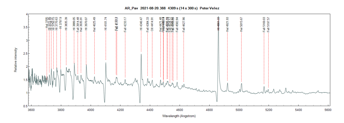 ar_pav_20210820_388_Peter Velez.png