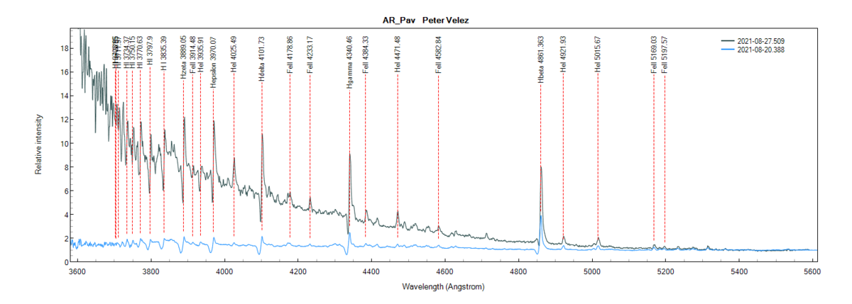 ar_pav_20210820_388_Peter Velez.png