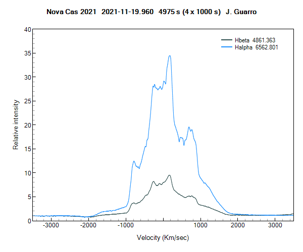 novacas2021_NII (002).png