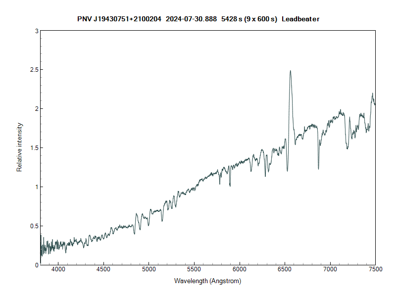 pnvj19430751+2100204_20240730_888_Leadbeater.png