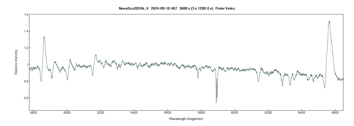 novasco2024b_v_20240910_407_Peter Velez.png