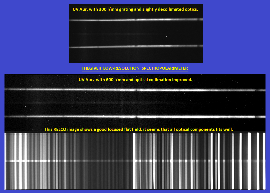 THEGIVER 300 600.png